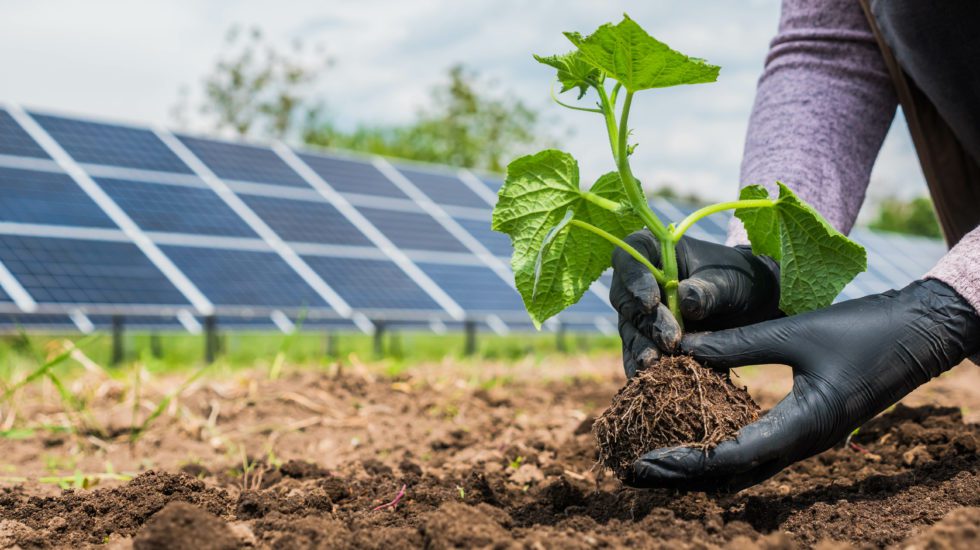 Agri-Food Energy Cost Savings Initiative Initiative de réduction des coûts d’énergie pour le secteur agroalimentaire