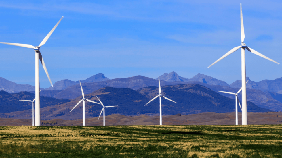 Emerging Opportunities Program Alberta